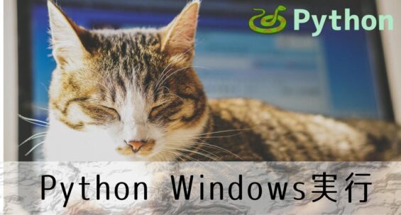 python3 windows