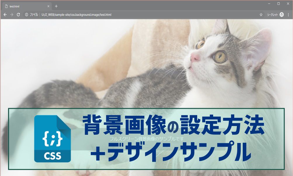 CSS] 背景画像をフルスクリーン表示するコード＋デザインサンプル5選 